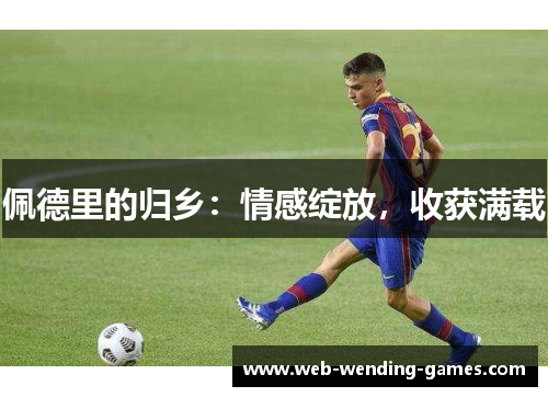 佩德里的归乡：情感绽放，收获满载