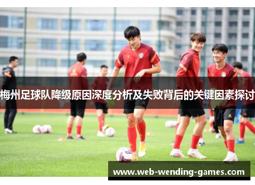 梅州足球队降级原因深度分析及失败背后的关键因素探讨