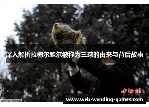 深入解析拉梅尔鲍尔被称为三球的由来与背后故事 深入解析拉梅尔鲍尔被称为三球的由来与背后故事