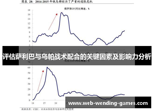 评估萨利巴与乌帕战术配合的关键因素及影响力分析