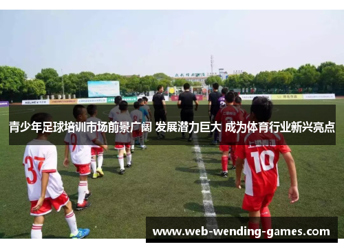 青少年足球培训市场前景广阔 发展潜力巨大 成为体育行业新兴亮点